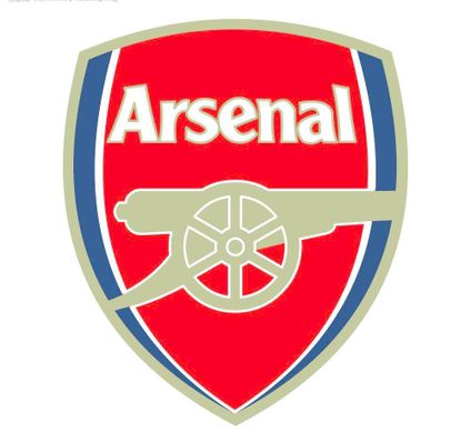 一斯佩齐亚球迷掉进看台和球场之间的沟里，被送进重症监护室